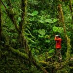 Birdwatcher in Panama's cloud forest looking for birds, highlighting ecotourism as a popular activity during the best travel times.