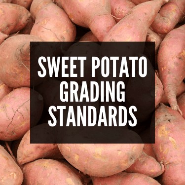 USDA Sweet Potato Grade Standards for Shipping and Sale