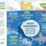 Infographic showing statistics about coral reef tourism