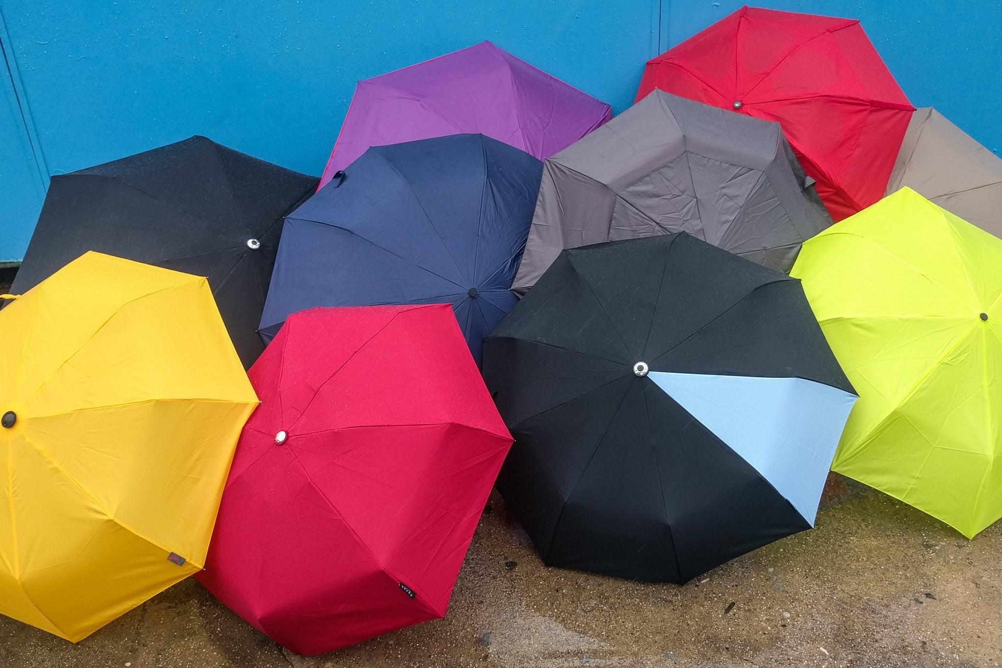 A vibrant display of various travel umbrellas, showcasing different colors and designs, tested for wind resistance and portability in 2016.