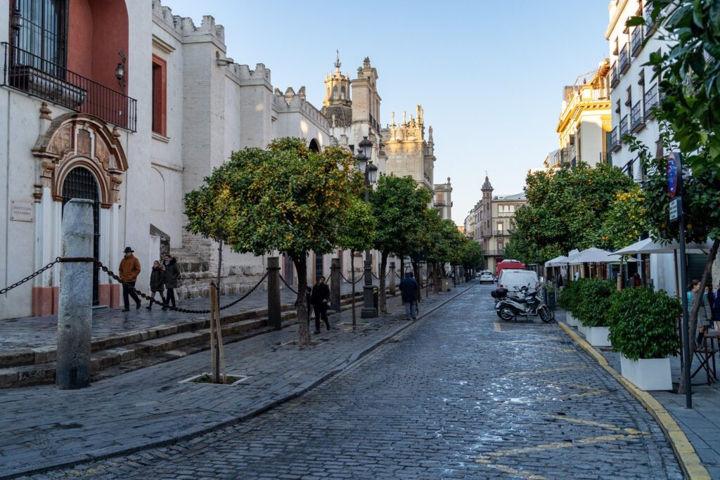 Walking in Seville Orange Trees