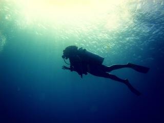 An underwater view of a scuba diver exploring the vibrant Caribbean sea