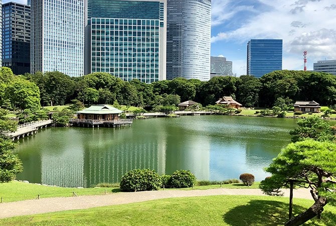 Pond Serenity at Hama-rikyu Gardens Tokyo