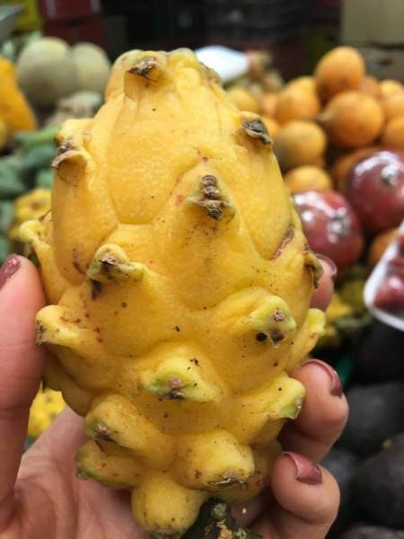 Exotic fruits at Minorista Market