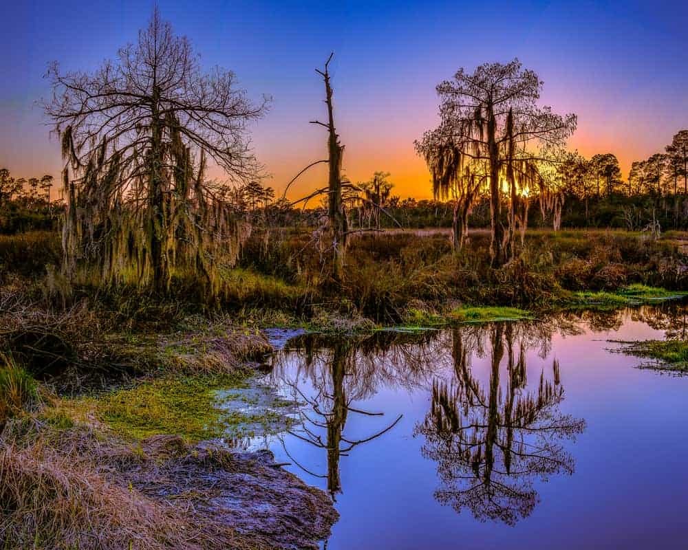Bayou Country in Louisiana