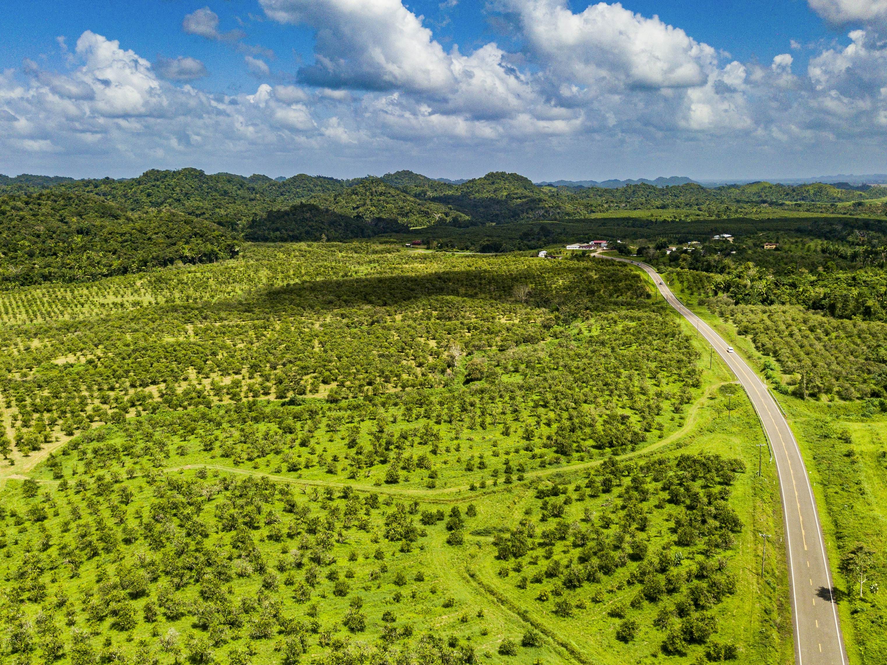 Scenic view of the Hummingbird Highway, Belize, winding through lush green hills and fields, ideal for road trip enthusiasts