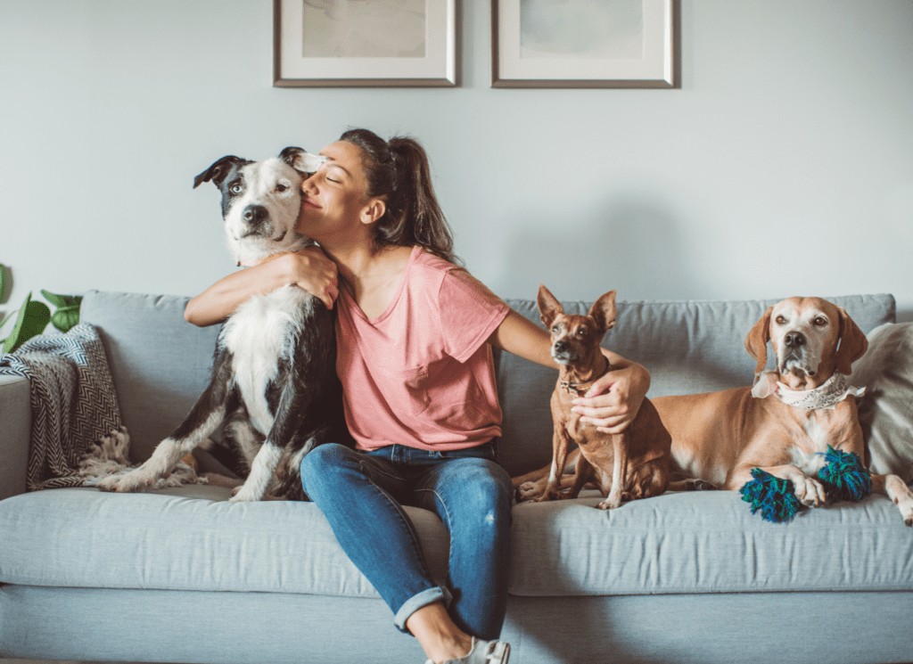 Pet sitter playing with a dog in a living room