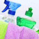 Potential Risks from Mouse Droppings