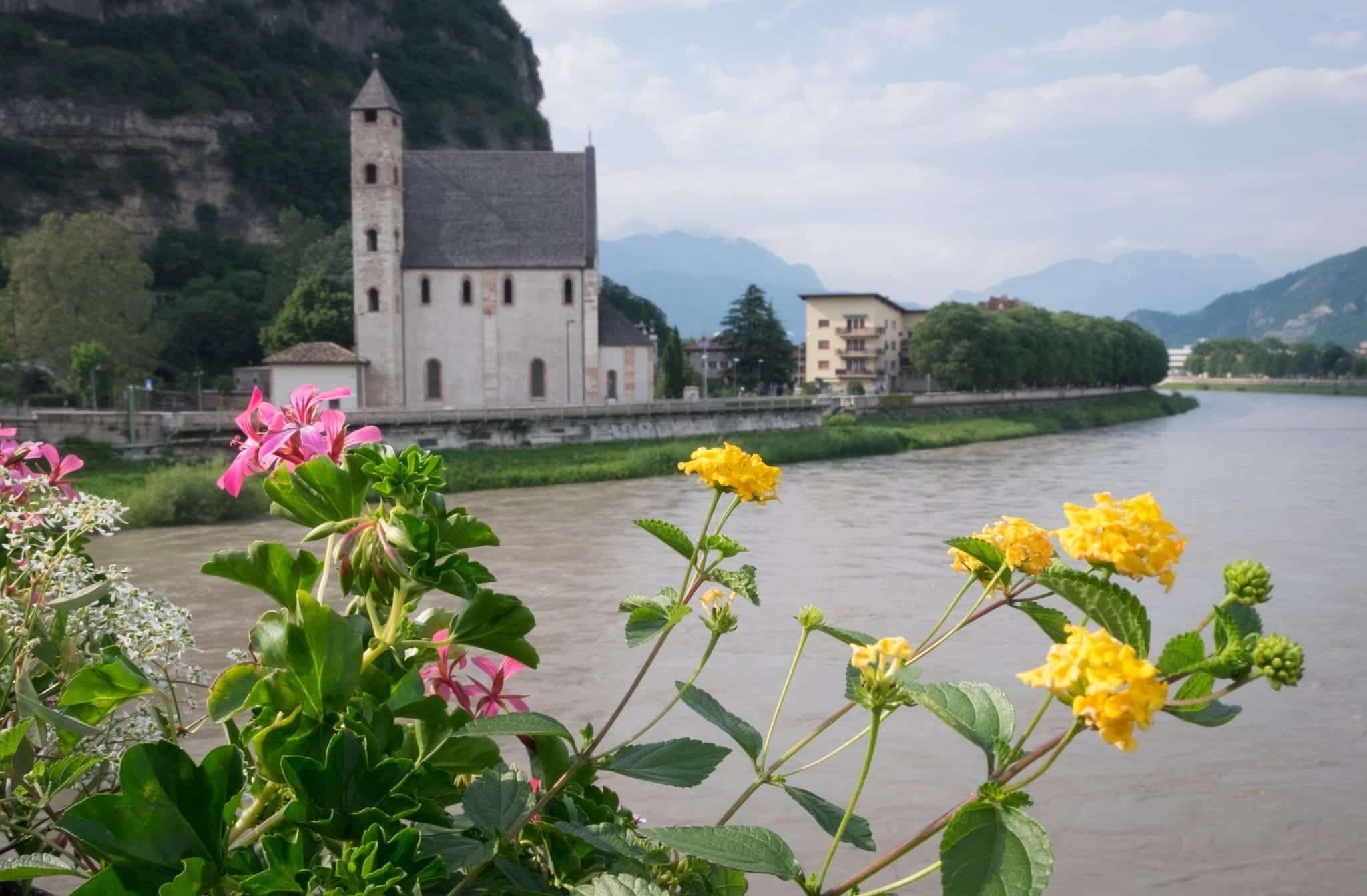 Flowers in Trento, Italy.