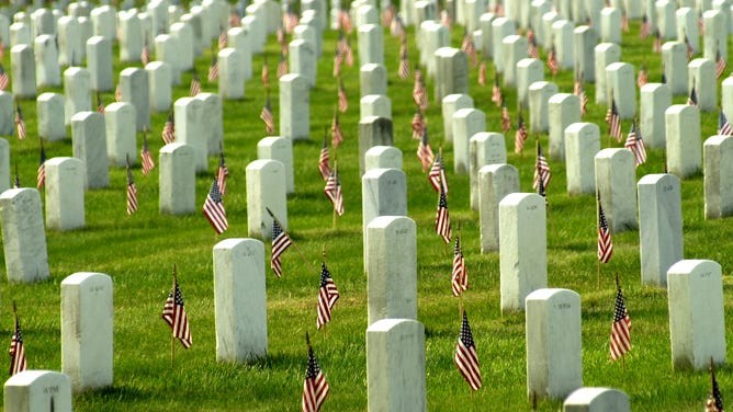 American flags adorn each grave in Arlington National Cemetery, symbolizing honor and remembrance on Memorial Day