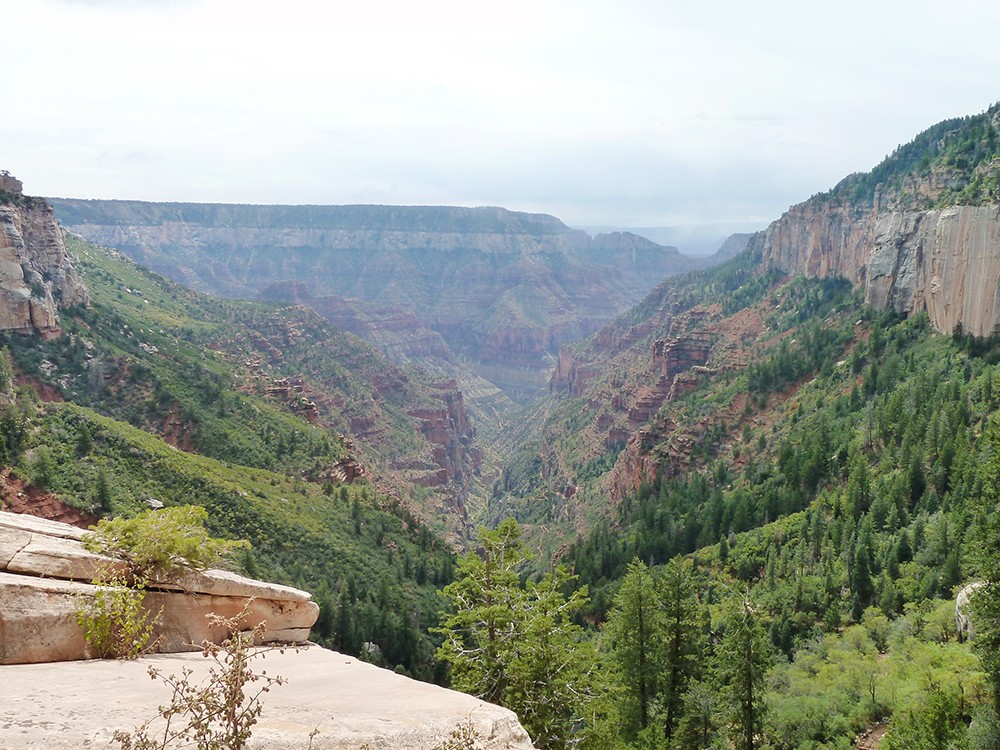 North Rim of the Grand Canyon with a hiker gazing into the vast canyon.