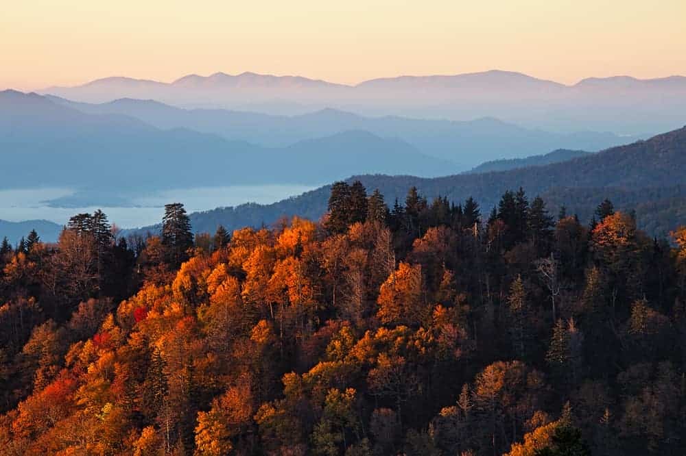Great Smoky Mountains