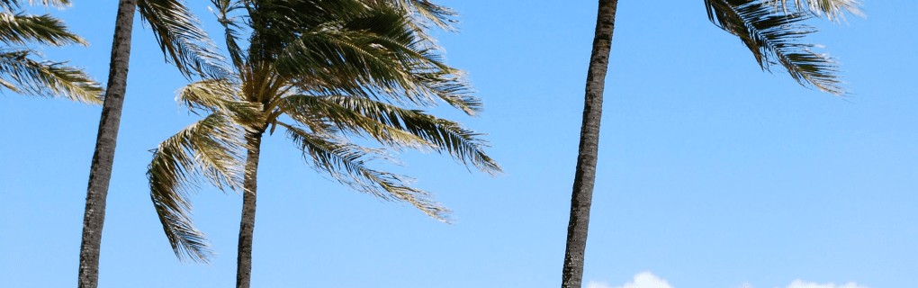Marketing for travel agents