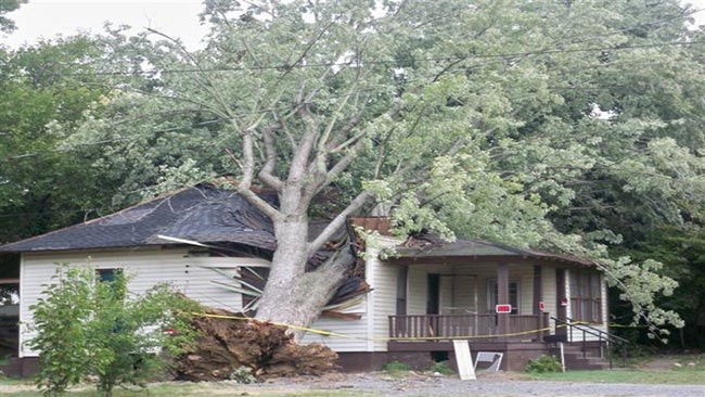 Home in Mayfield, Kentucky, damaged by a tree downed by high winds from Hurricane Ike