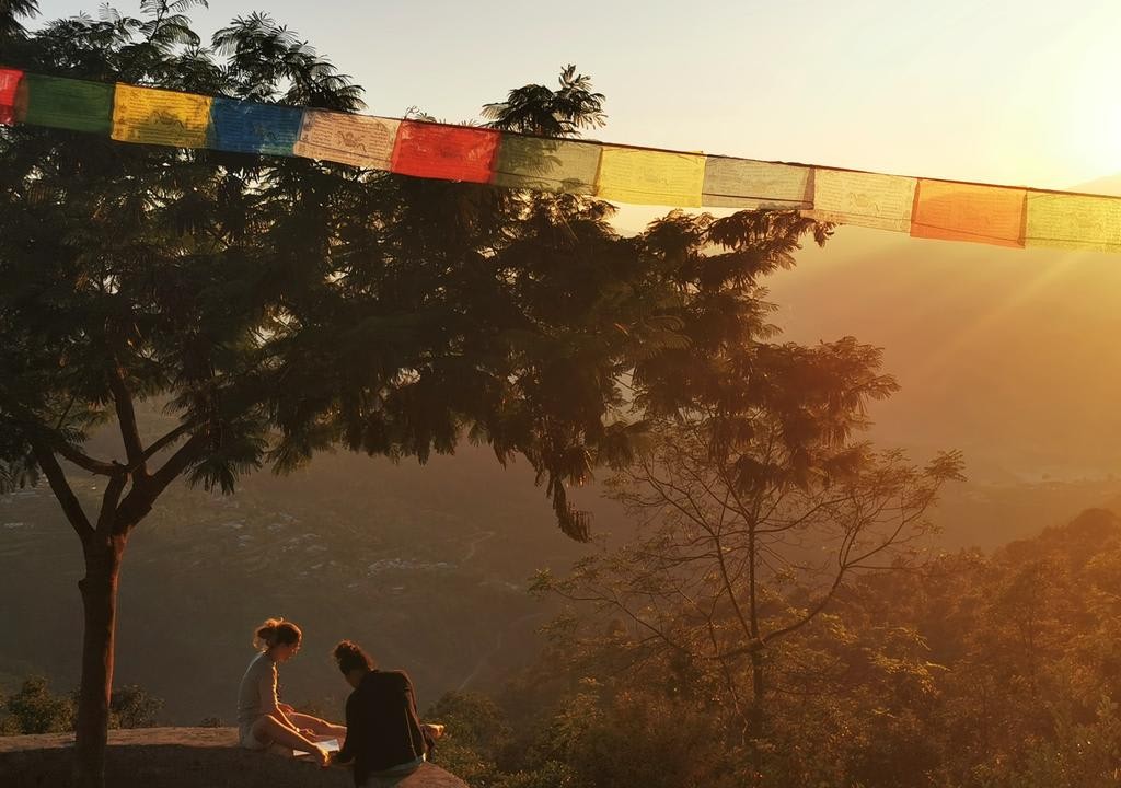 Work exchange programs allow you to volunteer around the world, offering a unique way to travel affordably.