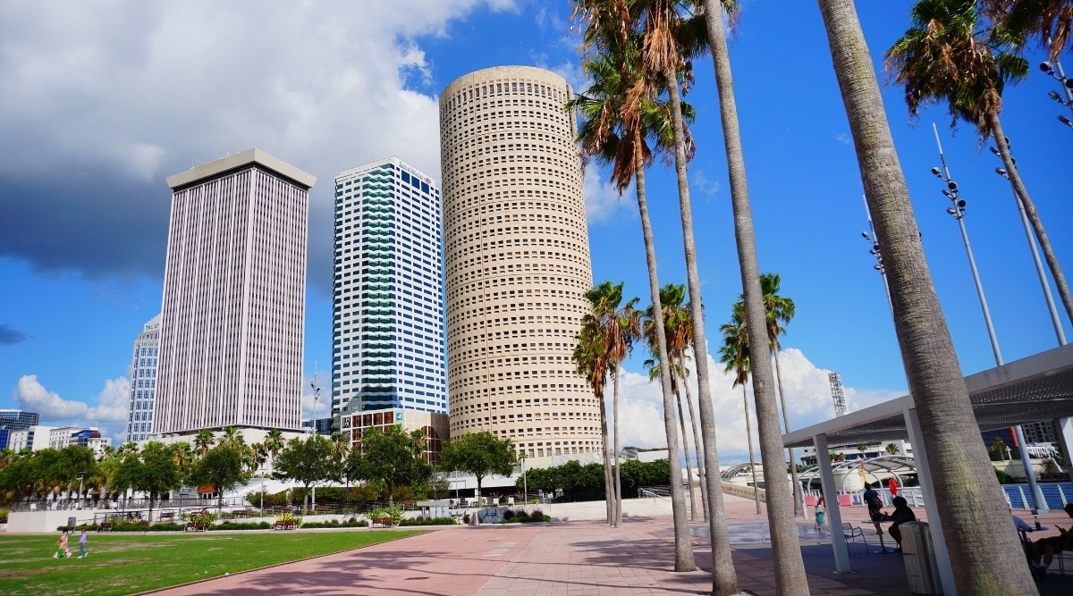 A bright daytime shot of Tampa Bay's skyline, featuring palm trees and modern high-rise buildings.