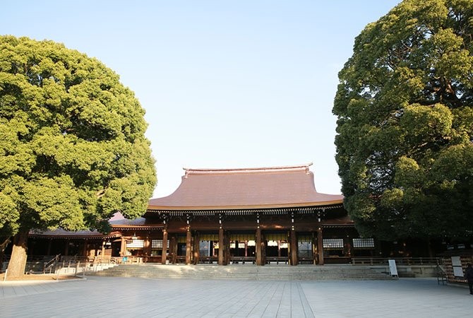Meiji Jingu Shrine nestled in a serene forest setting