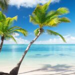 Palm trees on the beach