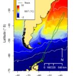 Orca Migration Track