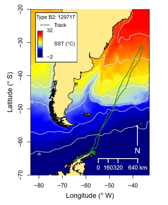 Orca Migration Track