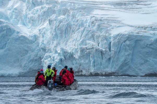 Antarctica-wildlife-seals
