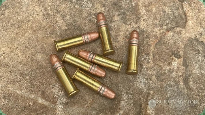 .22 LR Cartridges: A close-up view showcasing the .22 LR cartridges, highlighting their compact size and design.