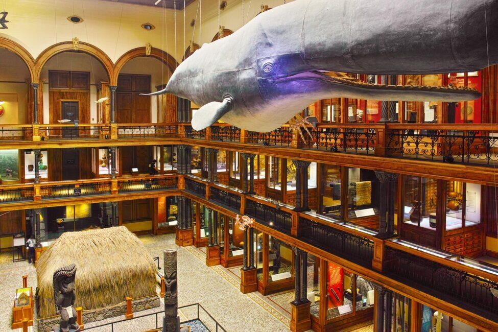 Bishop Museum, a resource for learning about Hawaiian history and culture