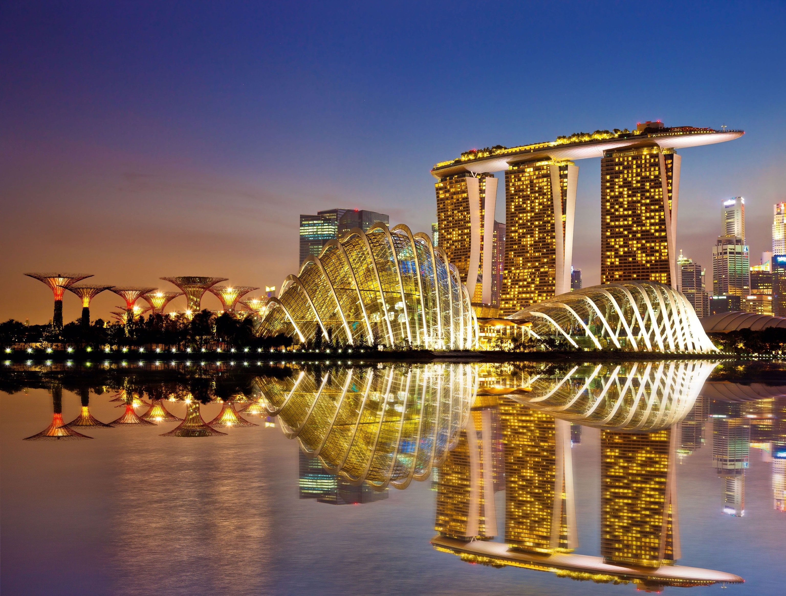 Singapore's Supertree Grove at Gardens by the Bay illuminated at night