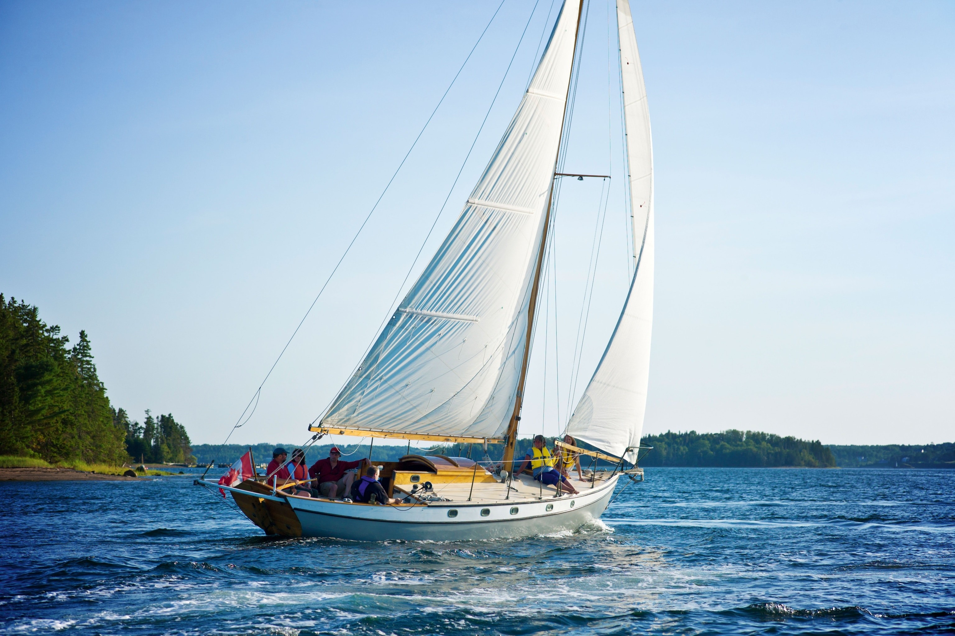 daylight image of people sailing