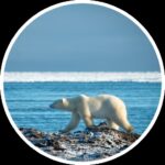 Vast tundra landscape in Nunavut, showcasing the region's untouched wilderness