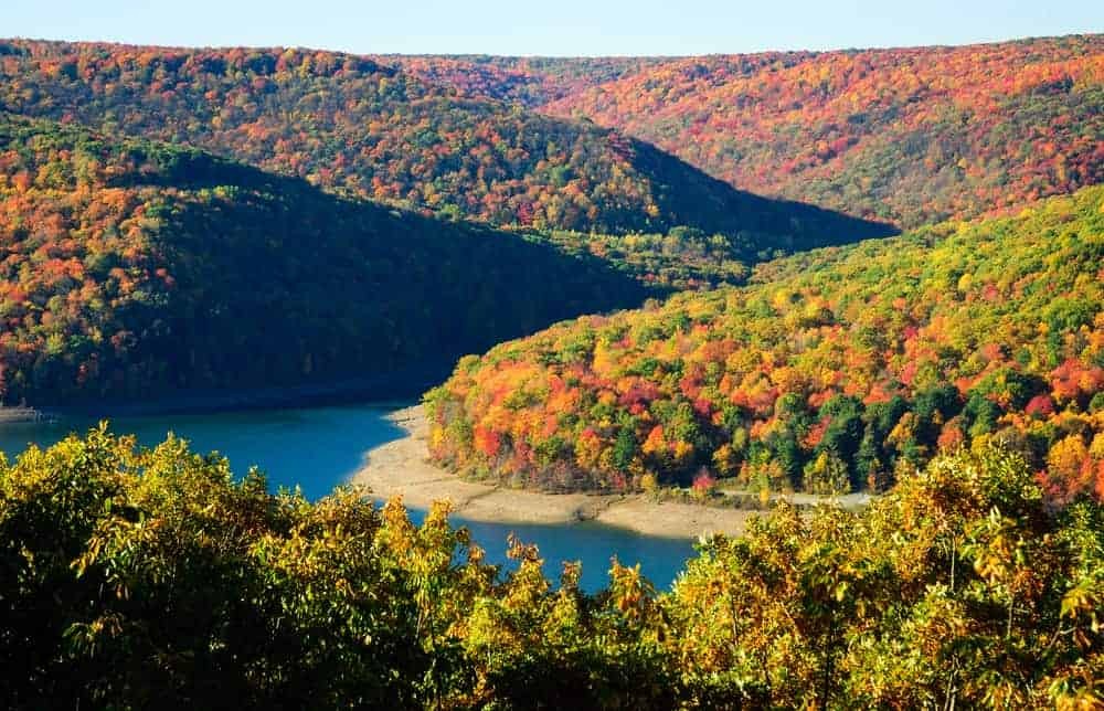 Allegheny National Forest with fall foliage