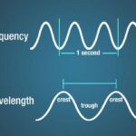 Transverse wave showing crests and troughs