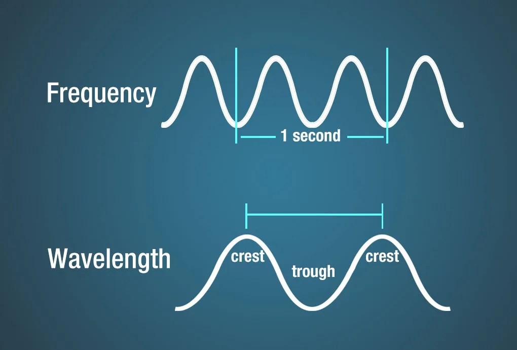Transverse wave showing crests and troughs