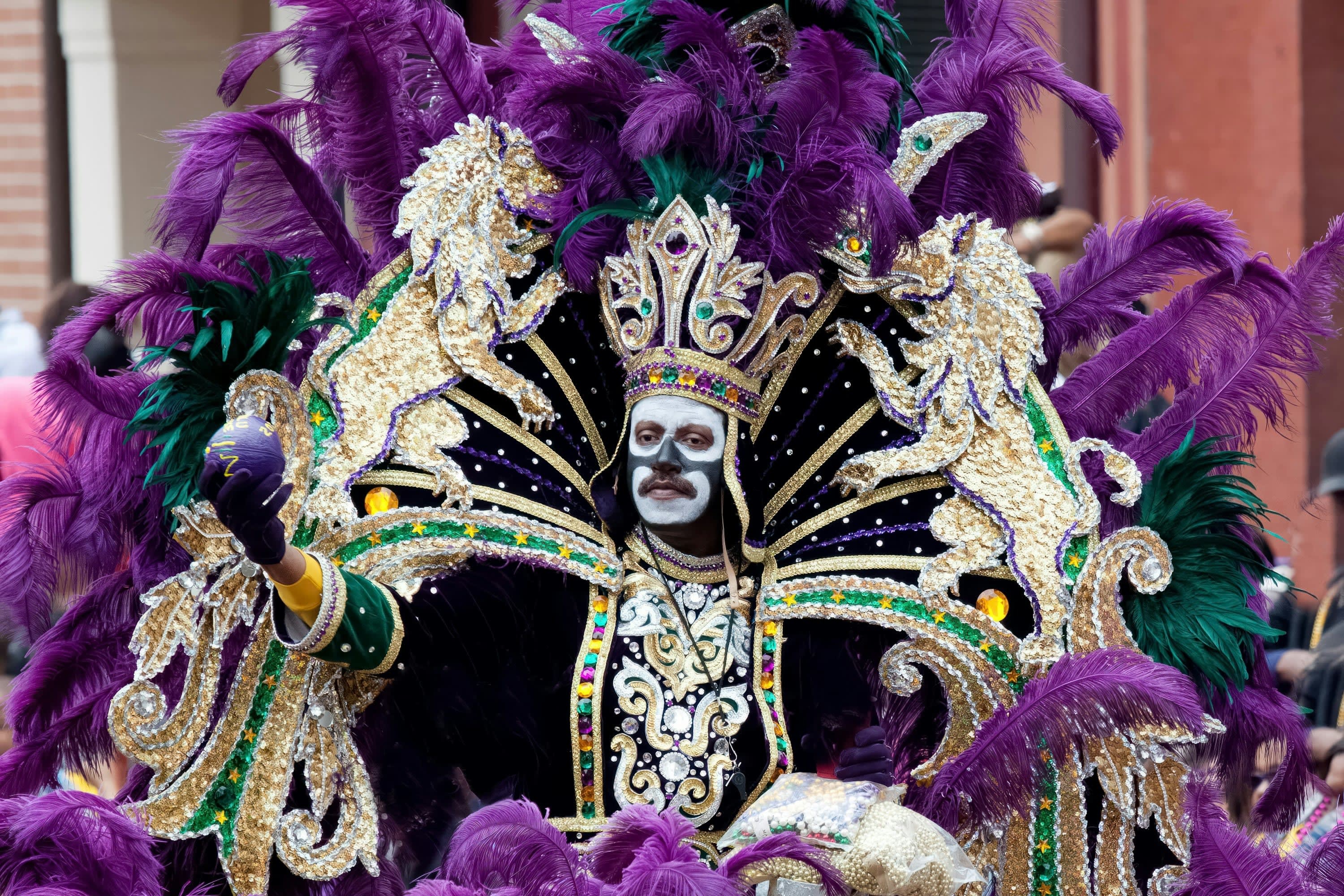 Man in elaborate Mardi Gras costume