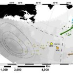 First direct evidence of adult European eels migrating to their breeding place in the Sargasso Sea.