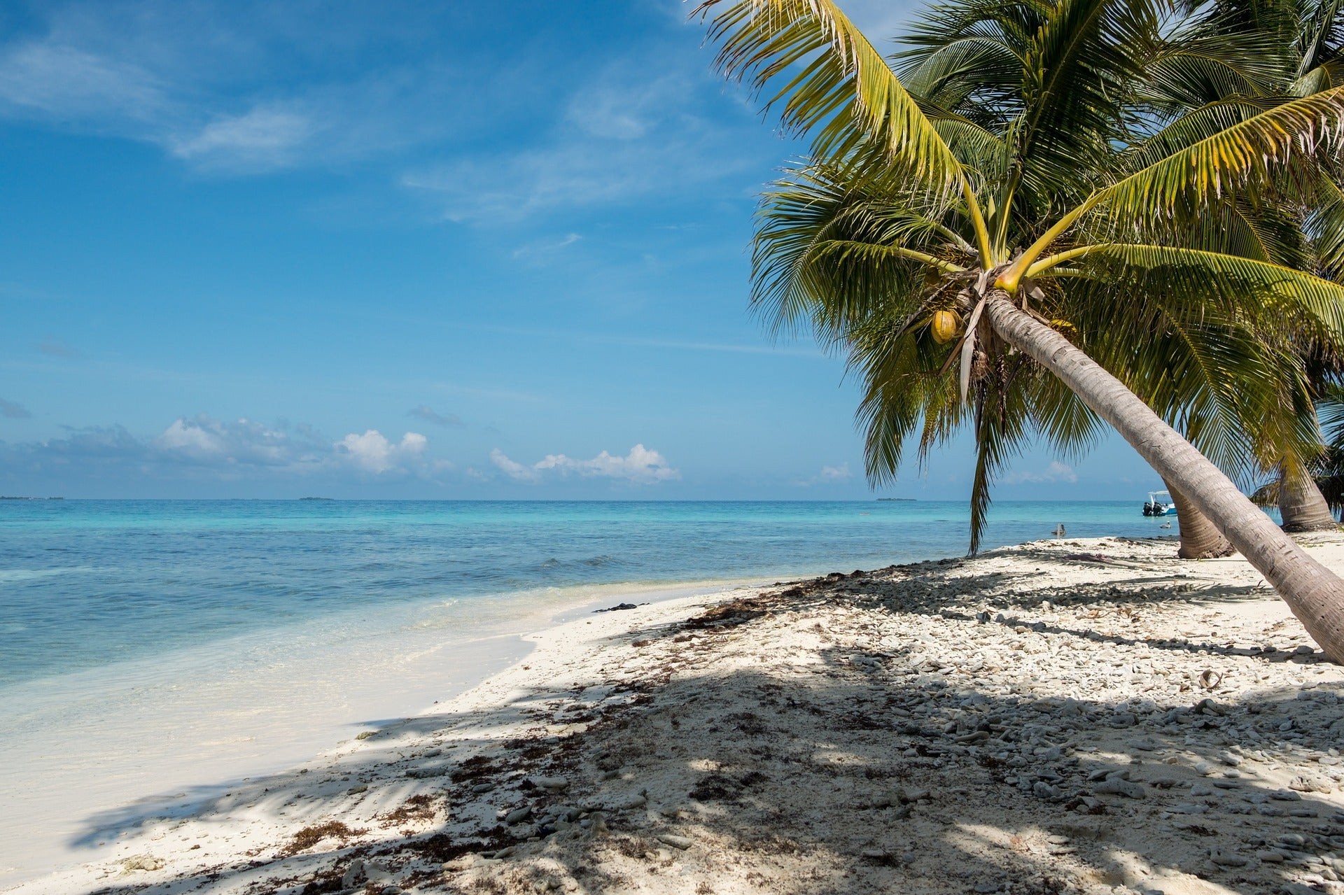 Beach in Belize