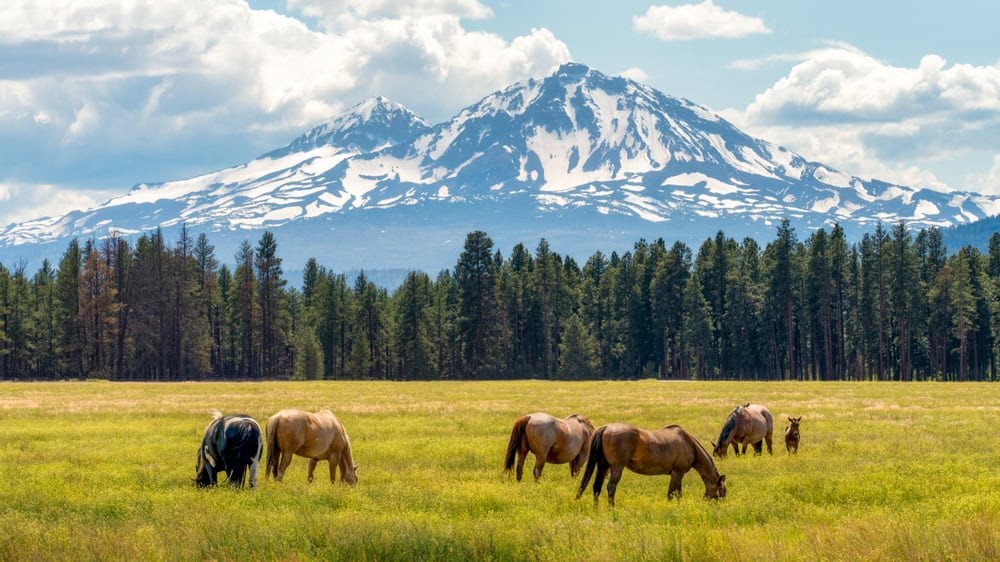 Bend Oregon Spring 