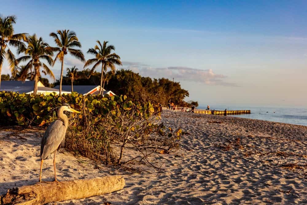 Sanibel Island, Florida, known for preserving its natural beauty.