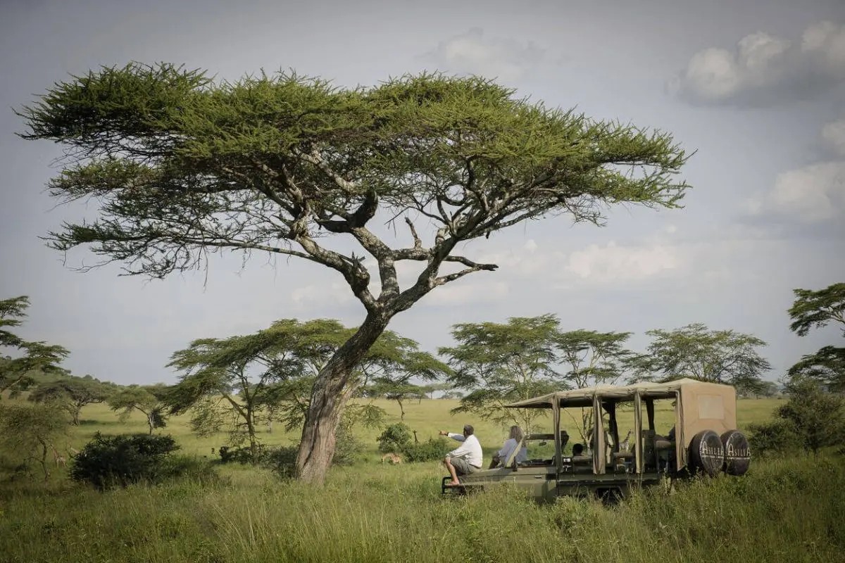 Health Tips for Safe Travel in Africa