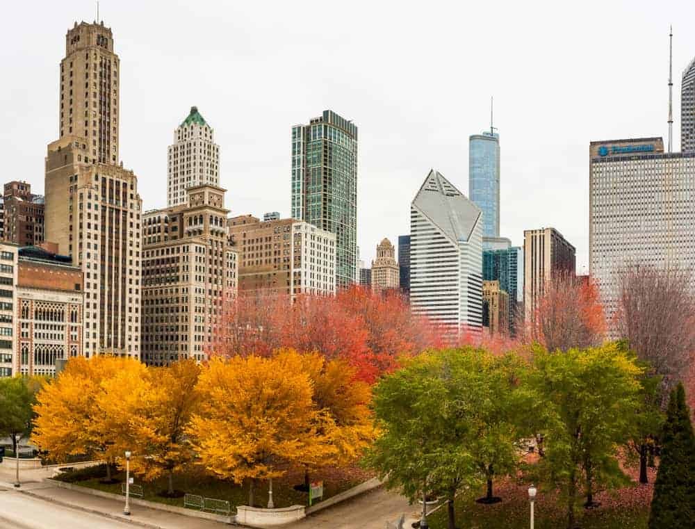 Chicago Skyline in fall