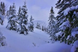 Chic-Choc Mountains in Gaspésie National Park, Quebec, displaying a snowy, fairy-tale landscape perfect for winter mountain sports.