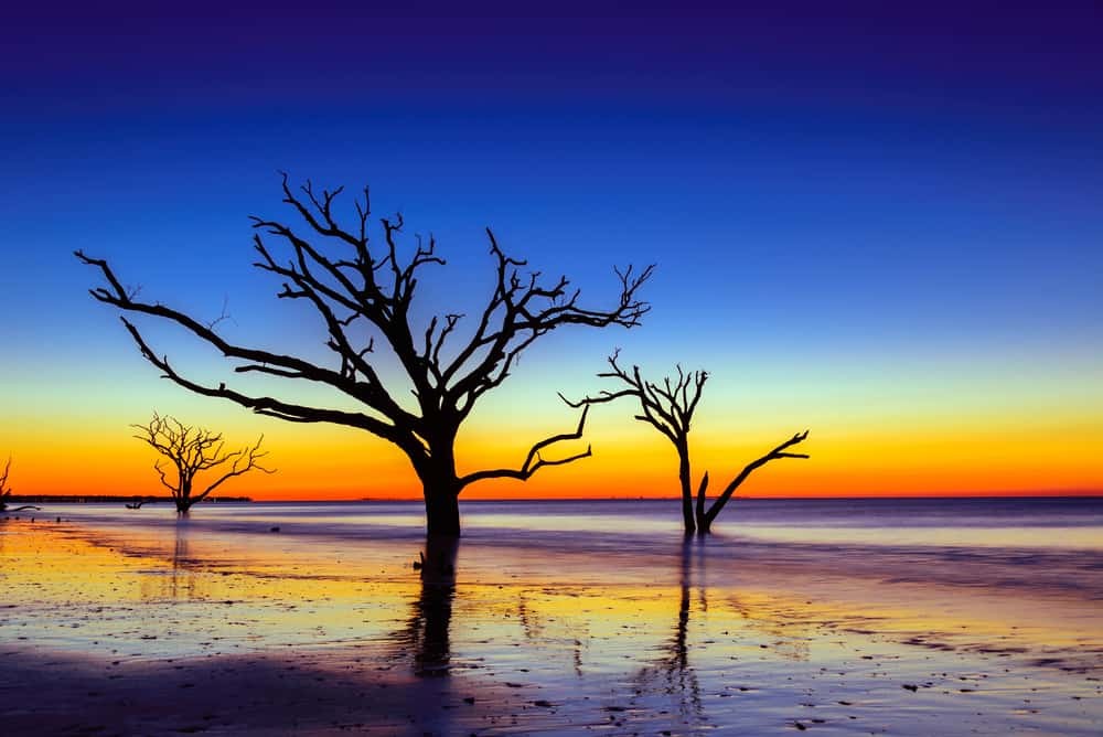 Edisto Island, South Carolina