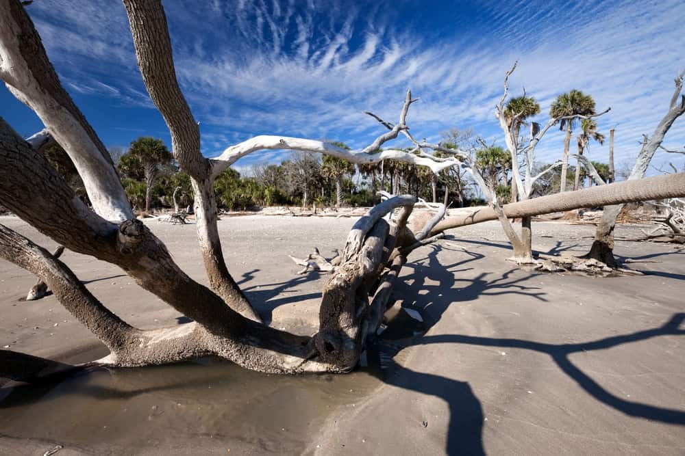 Edisto Island, South Carolina