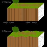 Cartoon depicting P and S seismic waves moving through the Earth's crust, showing compressional and shear motion
