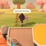 Spoiled turnips attracting ants, illustrating a practical use for them in Animal Crossing