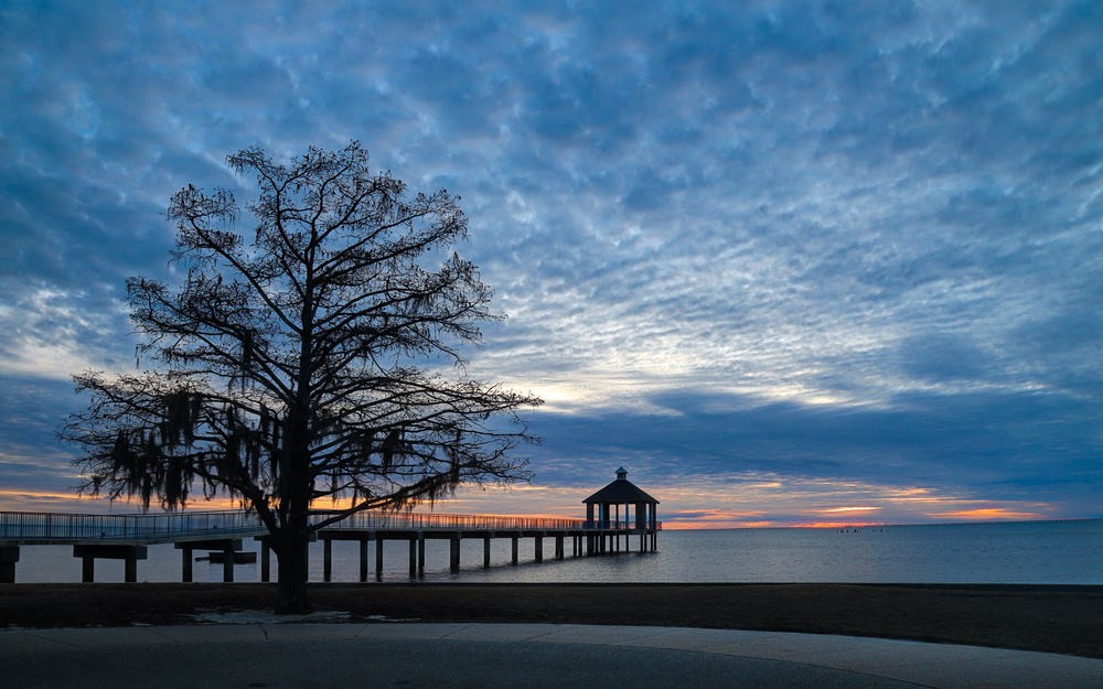 Fontainebleau State Park Landscape