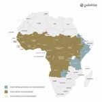 Yellow Fever Vaccination Guide for African Travel
