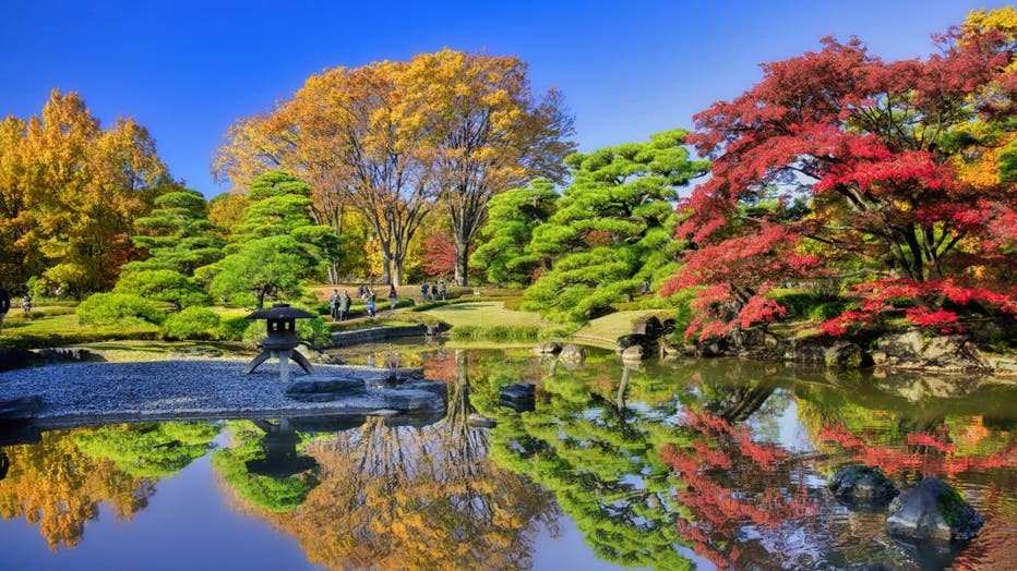 Imperial Palace Gardens in Chiyoda-ku, Tokyo City, Japan, offering a peaceful escape in the heart of the city
