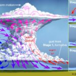 Gust Front Evolution