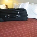 Bed bugs hiding in luggage